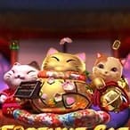 Fortune cat thumbnail